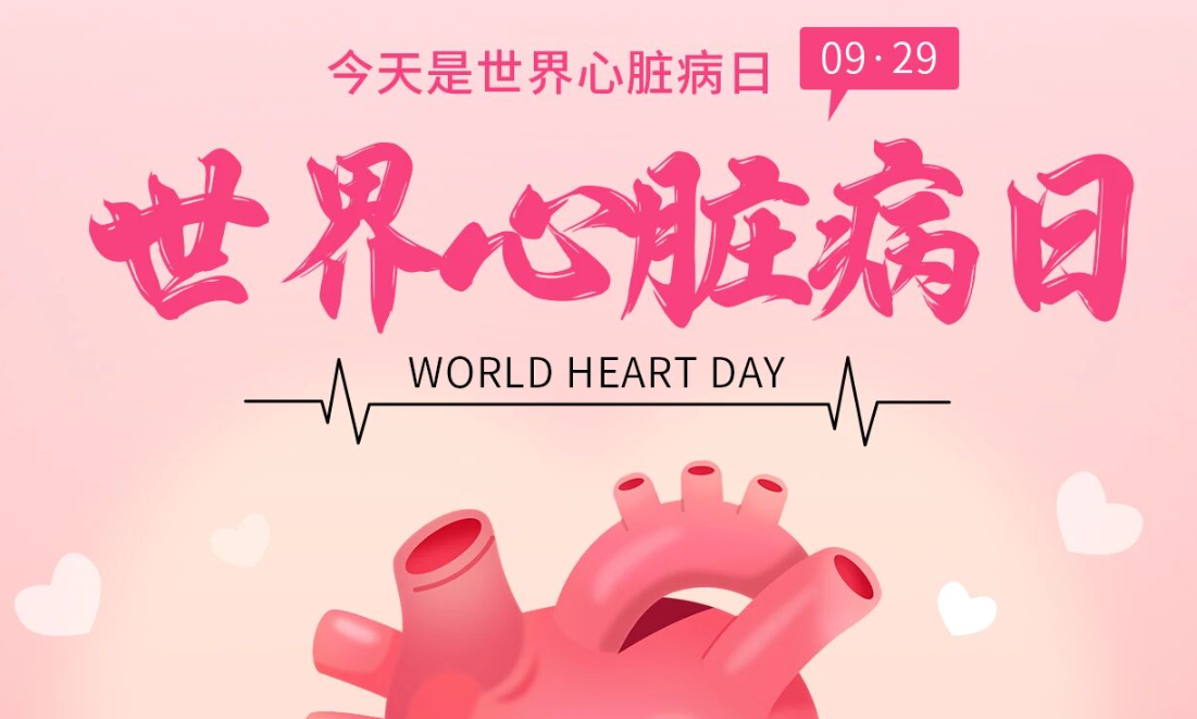 2025世界心脏日：Don't miss a beat律动不息，创新不止